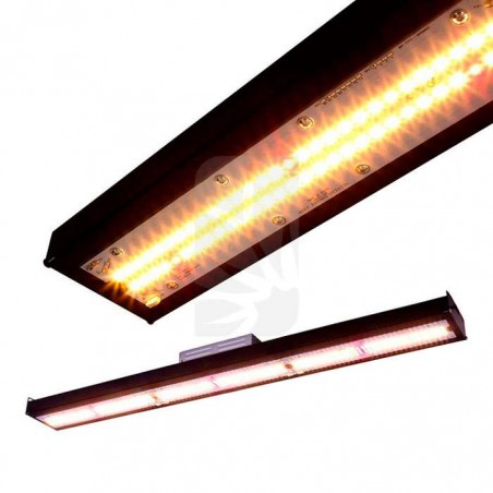 SOLUX KAPPA 150 W/PW