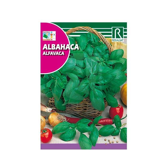 Semillas de Albahaca Semillas de Albahaca