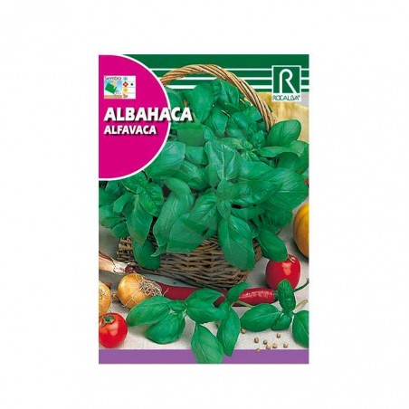 Semillas de Albahaca ✅ SEMILLAS HUERTO Y AROMÁTICAS ONLINE