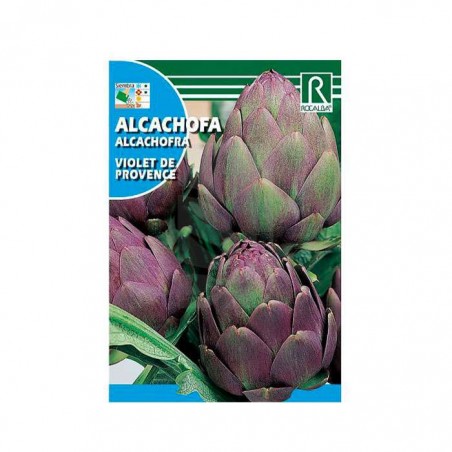Sementes de Alcachofra   ✅ SEMENTES HORTA E AROMÁTICAS Online