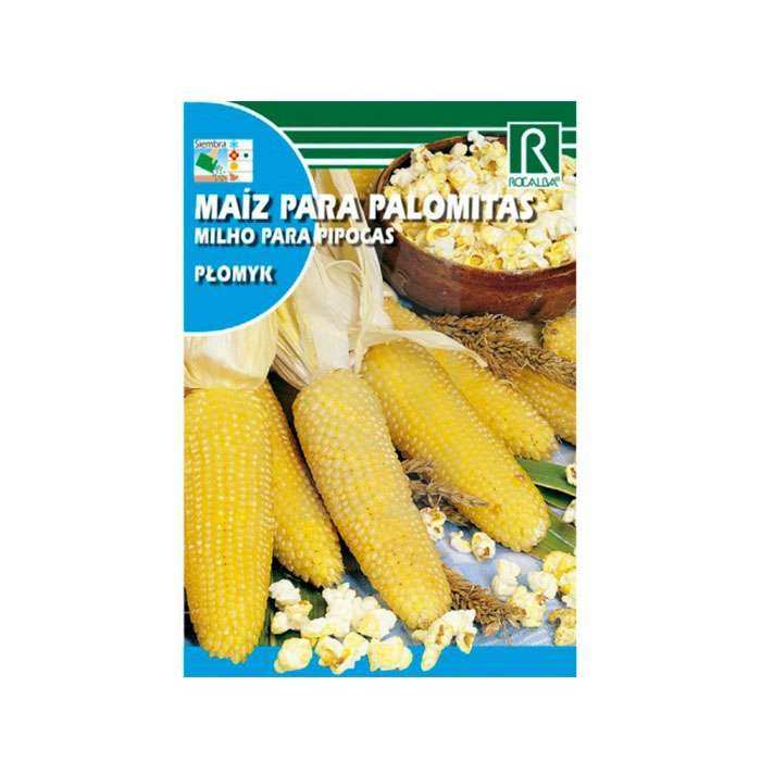 Maissamen für Popcorn