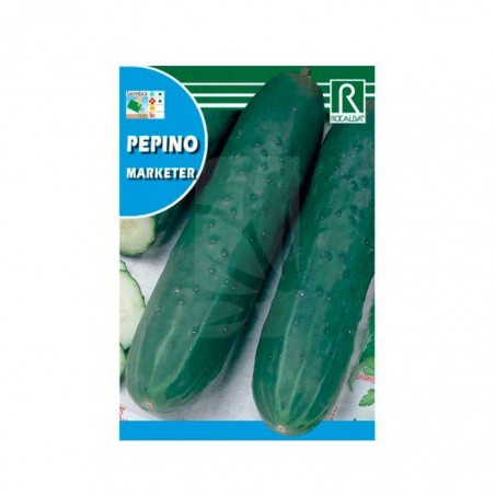 Semillas de Pepino