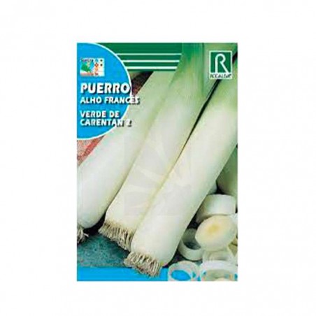 SEMILLAS DE PUERRO ⚡ CULTIVO URBANO - GROWSHOP HYDROPONICS ⚡