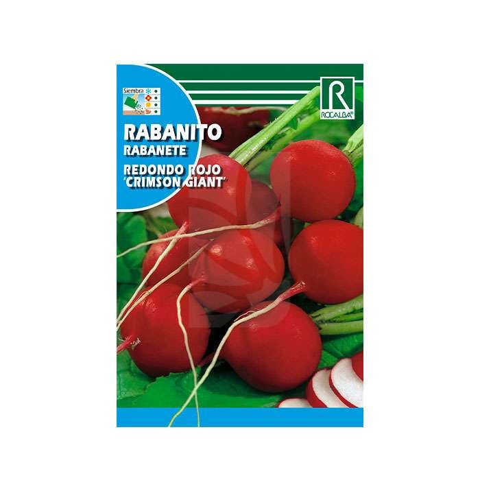 Semillas de Rabanito rojo Semillas de Rabanito rojo