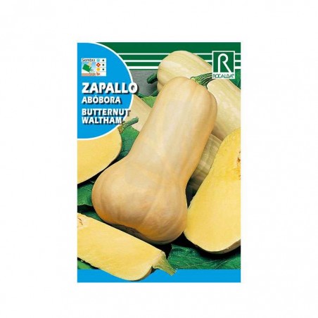 Semi di ZUCCA ✨ HYDROPONICS BLANES ✨