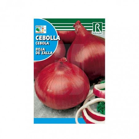 Semillas de Cebolla roja