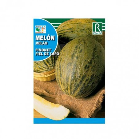 SEMENTES MELÃO PIÑONET ✅ LOJA DE CULTIVO HIDROPÔNICO ✅