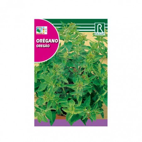 graines d'origan ✌️ HYDROPONICS BLANES ✌️