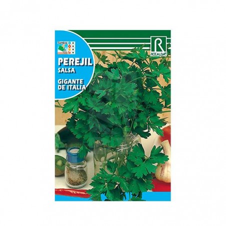 Semillas de PEREJIL - GROWSHOP HYDROPONICS✅