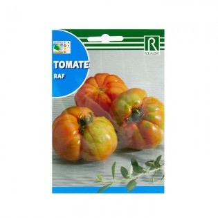 Semillas de Tomate Raf