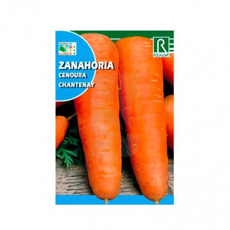 SEMILLAS DE ZANAHORIA【HYDROPONICS】