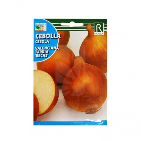 semillas de CEBOLLA Valenciana ✅ HYDROPONICS BLANES ✅