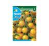 Graines de Tomate Cerise Jaune