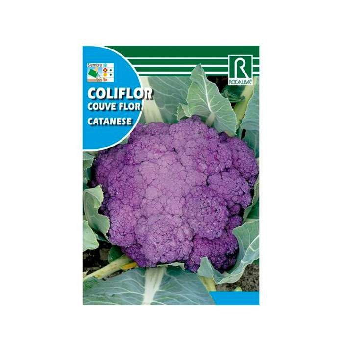 Semillas de Coliflor Semillas de Coliflor