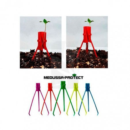 Tutor Medussa Protect Paquet de 5 unités