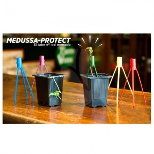 Tutor Medussa Protect Pack of 5 Units✅CUTTINGS