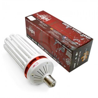 Bombilla CFL 250W Bloom 2700K Pure Light ✅