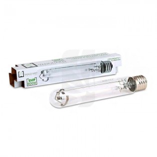 Bombilla 600 W. VANGUARD