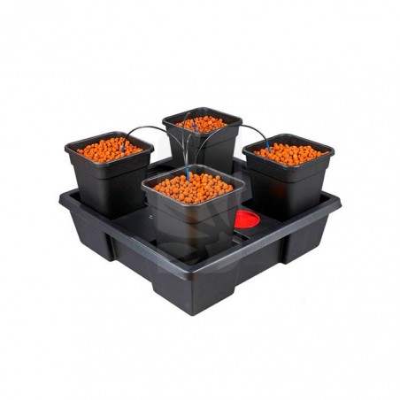Buy hydroponic cultivation system ✨ Wilma L4 11 L