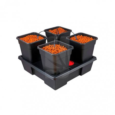 Wilma L4 Complete Hydroponic System Price 18 L