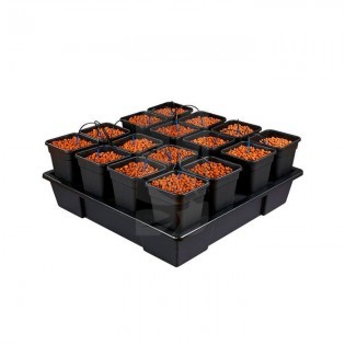 Wilma XXL 16 Complete System 11 L Hydroponic