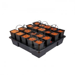 WILMA XXL 20 Complete Hydroponic Growing System 6 L.