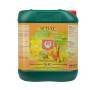 Bud XL de 5 Litros H&G Bud XL de 5 Litros H&G