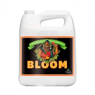 Bloom Ph Perfect 5 Litros
