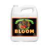 Bloom pH Perfect 5 Liters Advanced Nutrients Bloom pH Perfect 5 Liters Advanced Nutrients