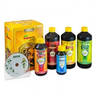 ATA ORGANICS BOX B´CUZZ