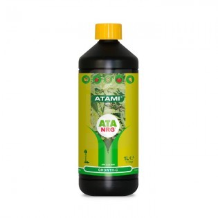 ATA ORGANICS BOX B´CUZZ