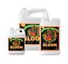 Bloom Ph Perfect 1 Litro Advanced Nutrients Bloom Ph Perfect 1 Litro Advanced Nutrients