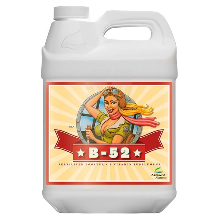 B-52 Fertilizer Booster da 10 Litri