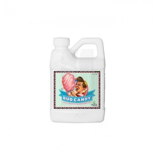 Bud Candy de 500 ml.