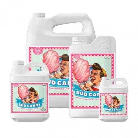 Bud Candy de 500 ml.