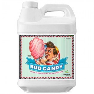 Bud Candy de 10 Litros