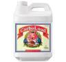 CarboLoad Liquid 10 Litros
