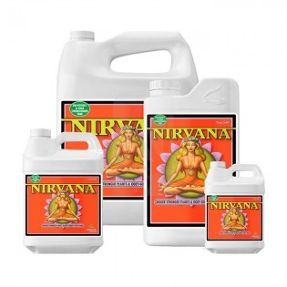 Nirvana de 1 litro