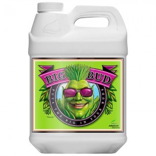 Big Bud Liquid de 10 Litros