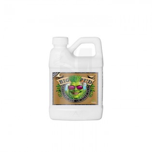 Big Bud COCO de 500 ml.