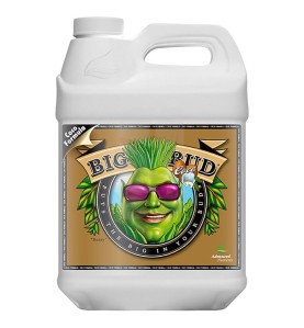 Big Bud COCO Liquid de 10 Litros