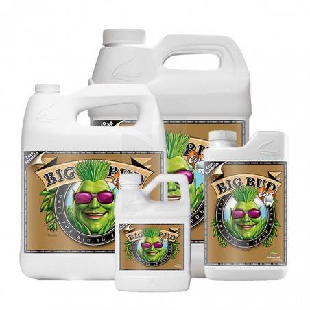 Big Bud COCO Liquid de 10 Litros