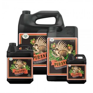 Piranha Liquid de 10 Litros