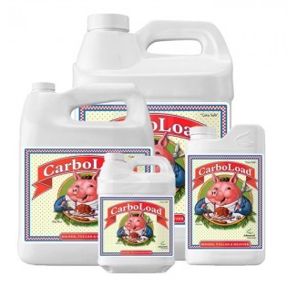 CarboLoad Liquid de 500 ml.