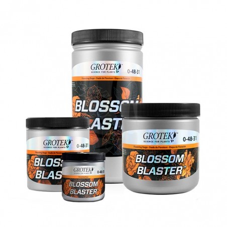 Blossom Blaster de 1 Kg GROTEK
