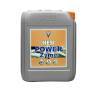 Powerzyme da 5 Litri HESI