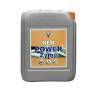 Powerzyme de 5 Litros HESI