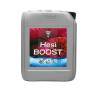 HESI Boost 5 Litri