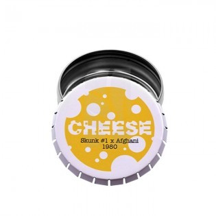 Aufbewahrungsbox für Marihuana # KÄSTCHEN COGOLLO CHEESE