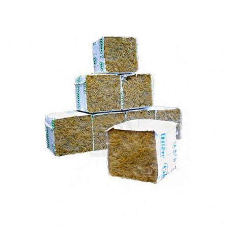 Stecklingswürfel mit Ummantelung 5x5x5 cm